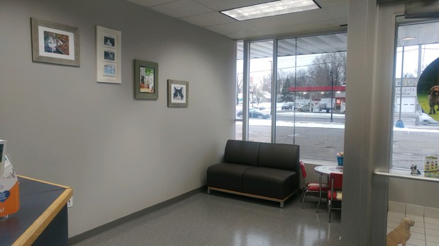 Images VCA Animal Care Hospital