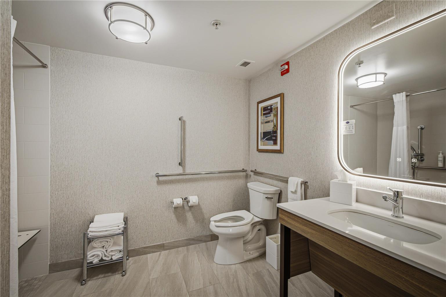 Guest room bath 