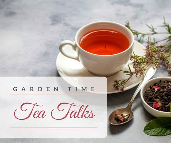 The Mustard Seed Landscaping & Garden Center Image