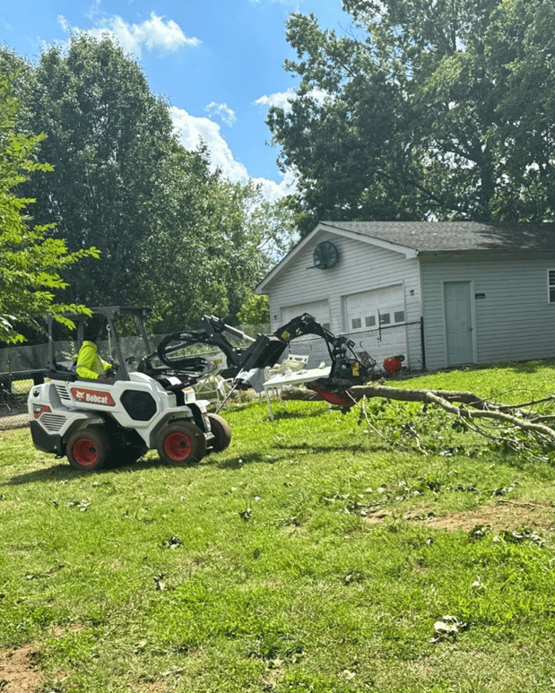 Images Tree Masters of Tennessee