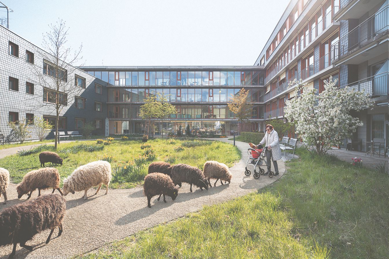 Bilder Stiftung Hofmatt