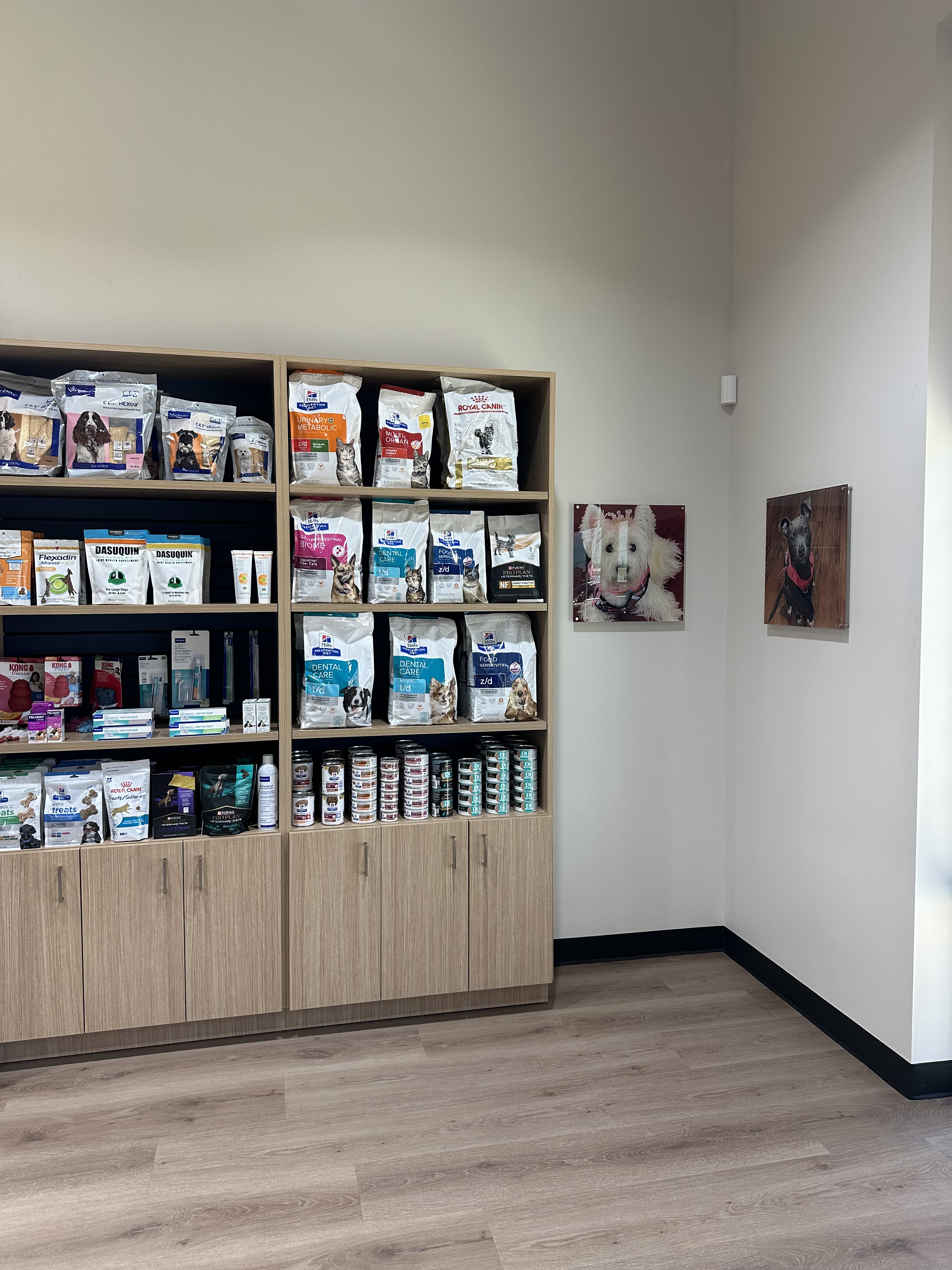 CityVet | Spring Image