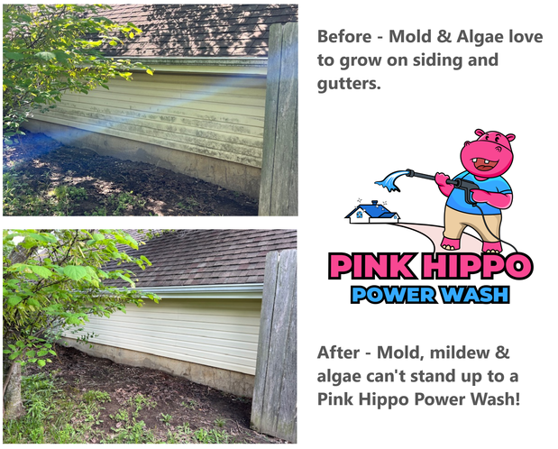 Images Pink Hippo Power Wash