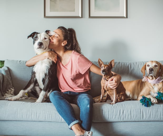Images Great Outdogs