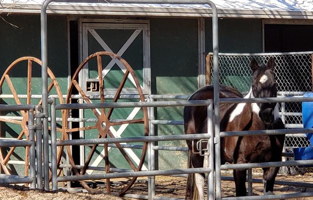 Images La Bota Ranch Equestrian Center