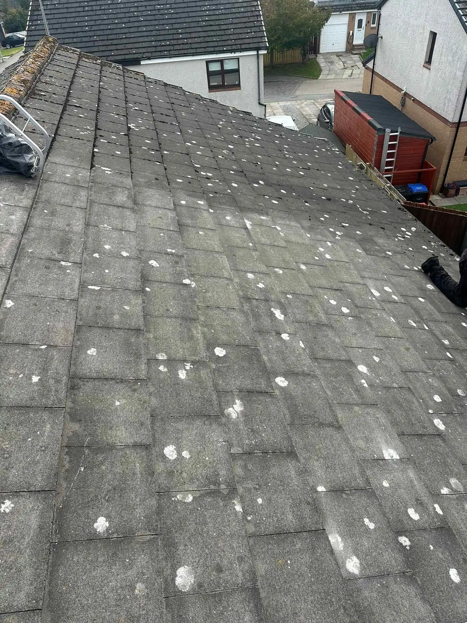 Images DB Roofing and Maintenance