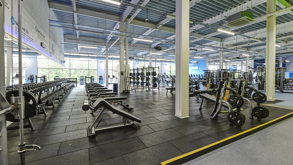 Free Weight Area