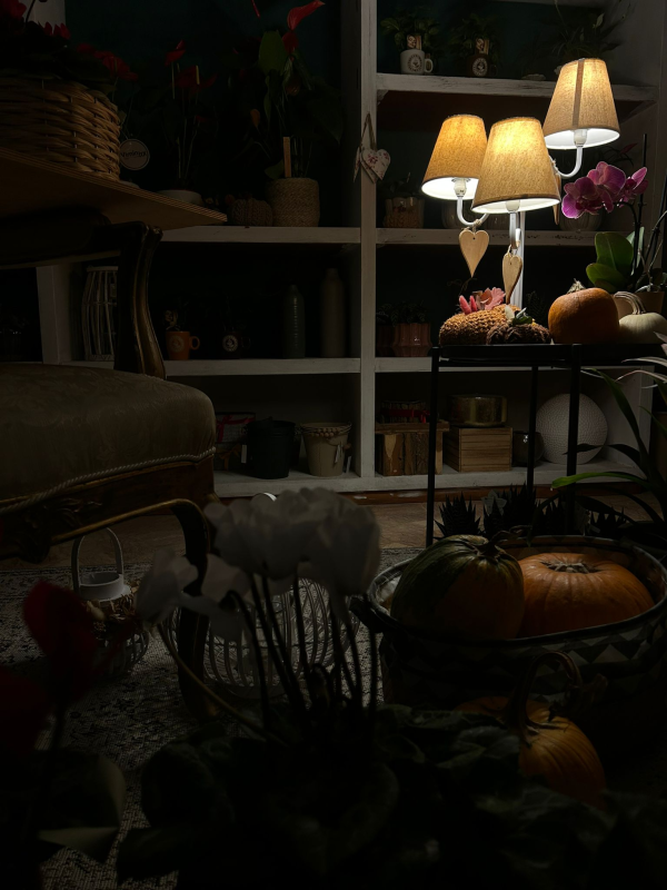 Images Fioreria  La Rosa Inglese