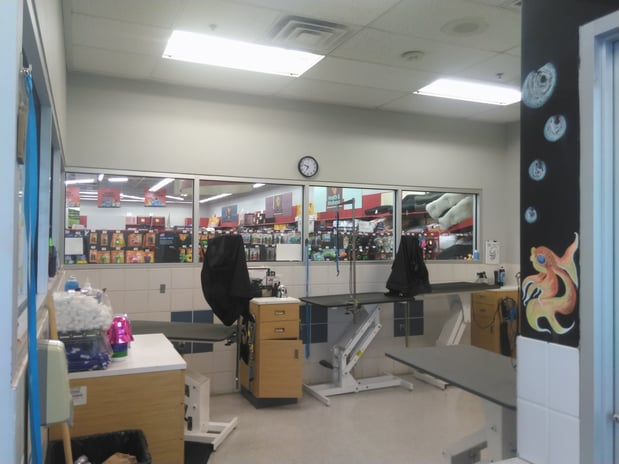 Images Petco
