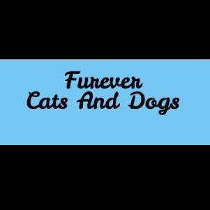 Furever Cats And Dogs Logo