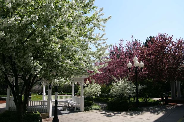 Images Hampton Inn Colchester