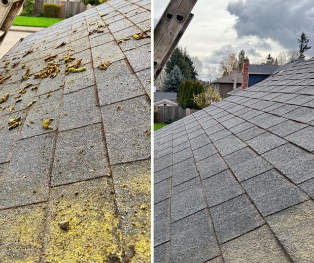 Images Portlandscaping