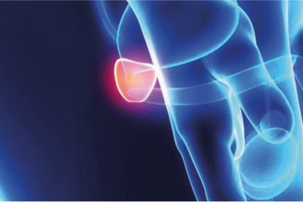 Images Leonardi Prof./Dott. Rosario