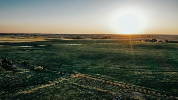 Images Where Food Comes From Inc