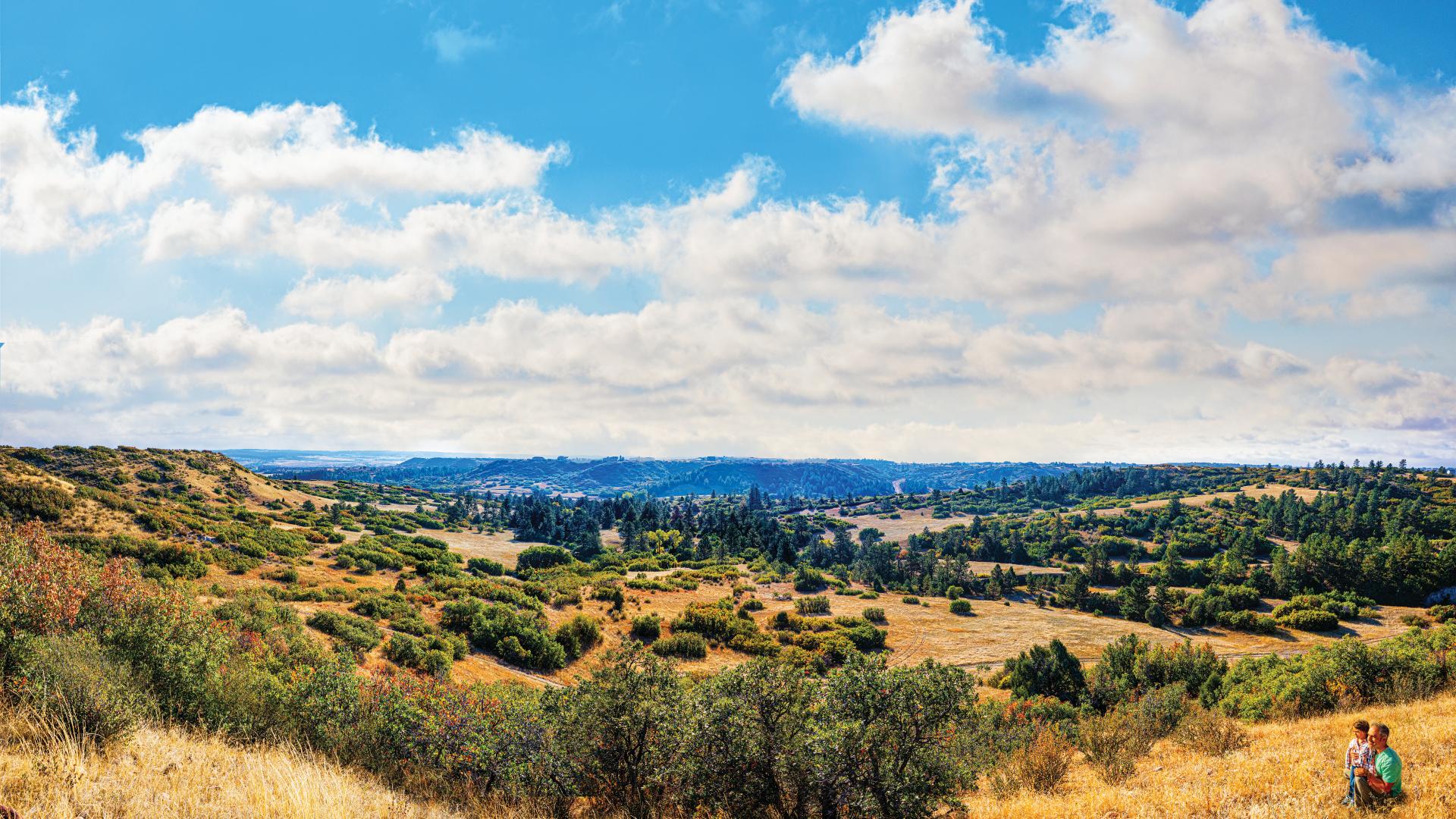 Take part in a variety of recreational activities