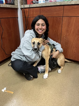 Images VCA Oak Hills Animal Hospital