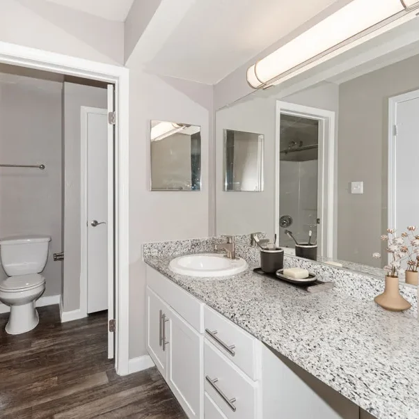 Array South Mountain | Bathroom 