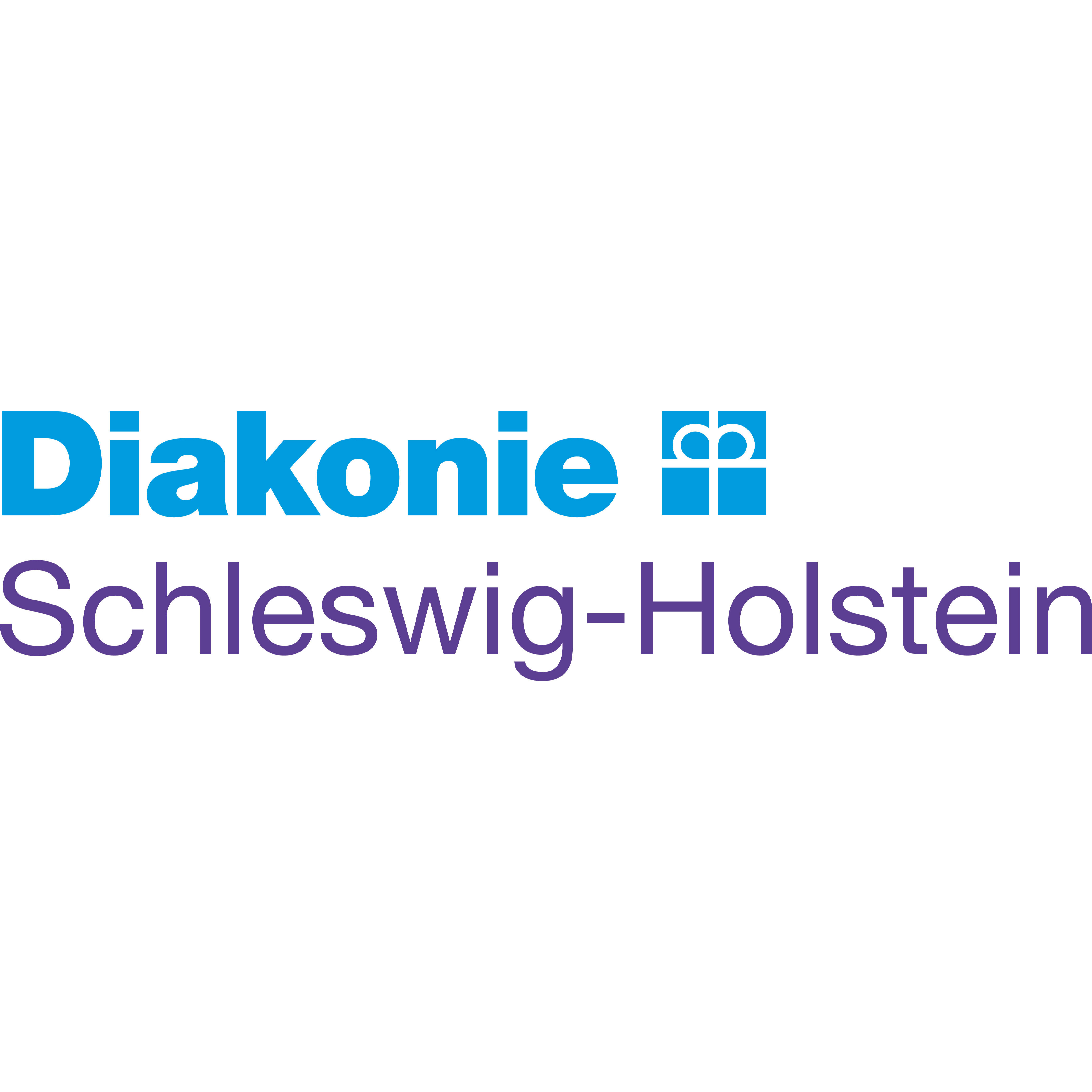 Diakonisches Werk Schleswig-Holstein - Landesverband der Inneren Mission e.V. in Rendsburg - Logo