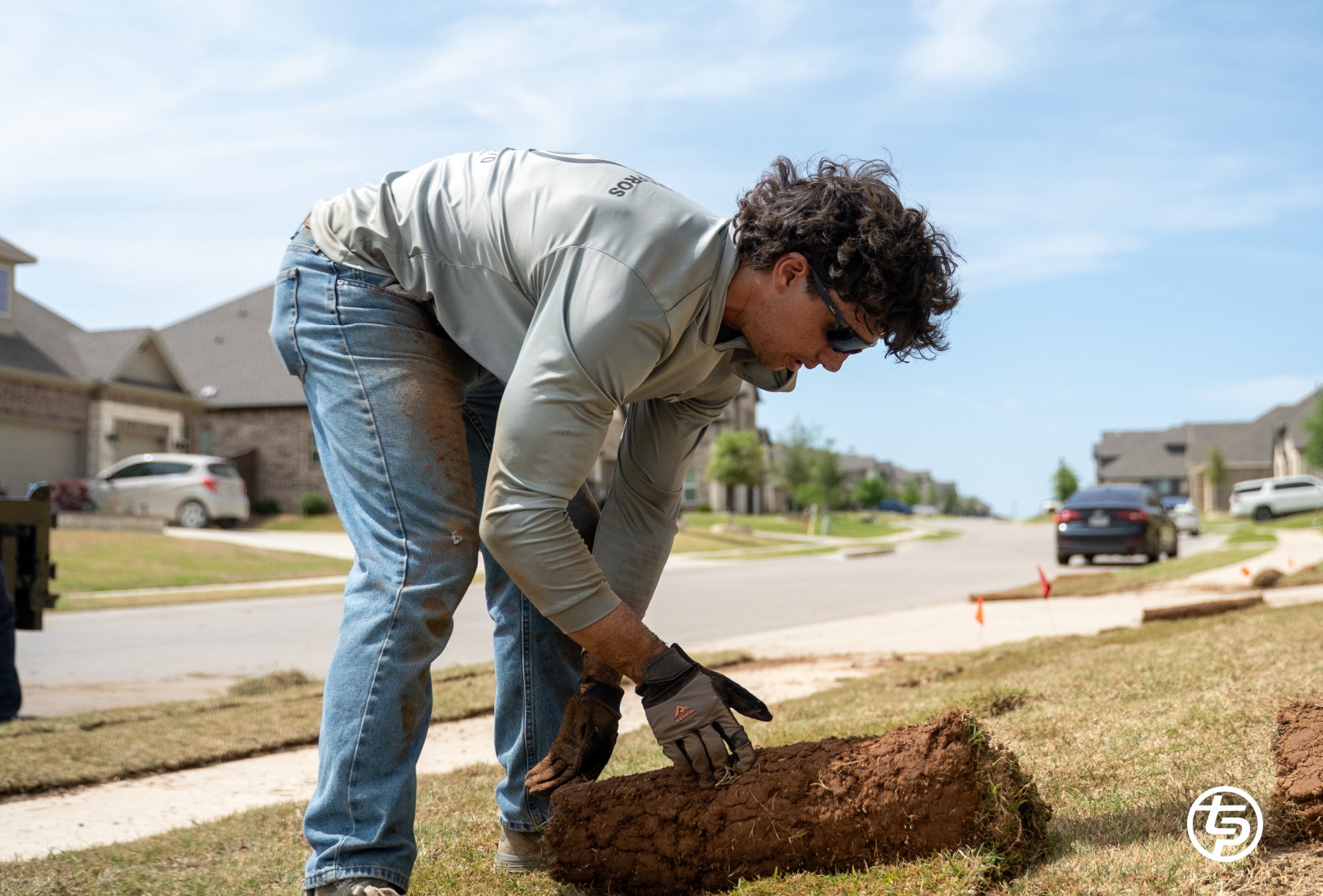 Lawn Restoration 