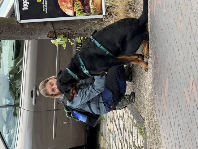Hundeschule DogGeeks® TonCane: Online & Mobil, Voßbarg 23 in Seevetal