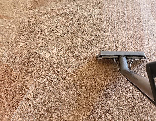 Images Pacific Coast Carpet Cleaning