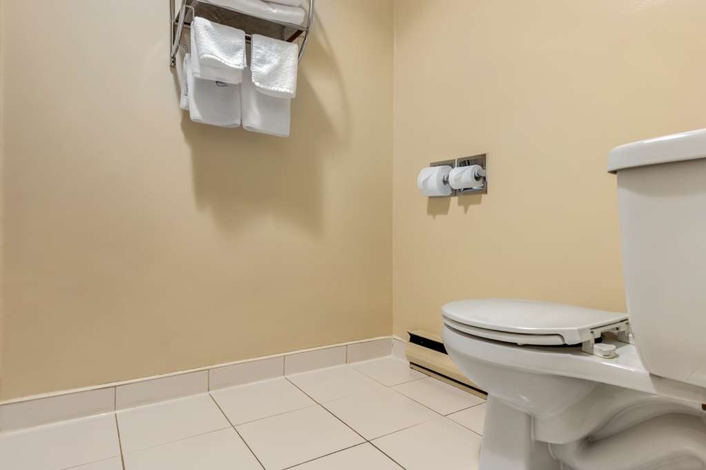Two Queen - Upstairs Bathroom Best Western Plus Dryden Hotel & Conference Centre Dryden (807)223-3201