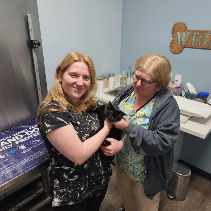 Images Middlesex Veterinary Center