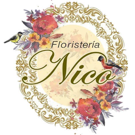 Floristería Nico Mazarrón