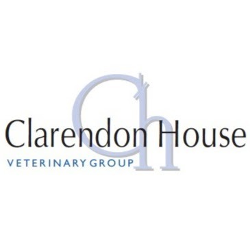 Clarendon House Veterinary Group - Chelmsford Chelmsford 01245 353741