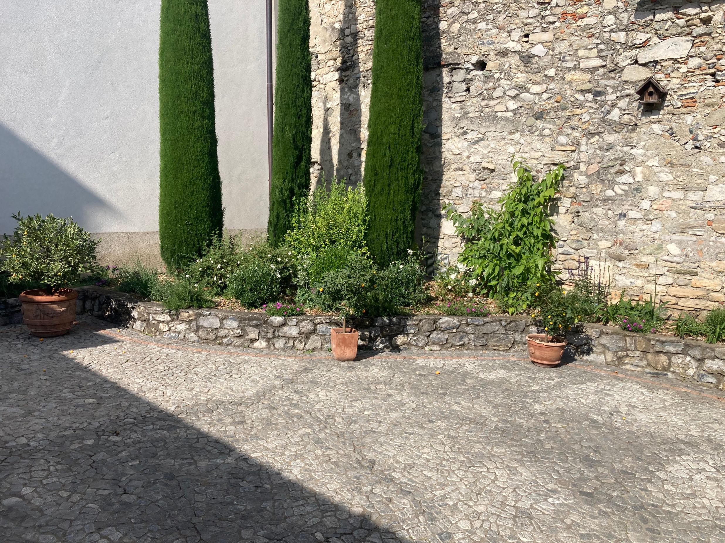 Bilder Galli Garden Sagl