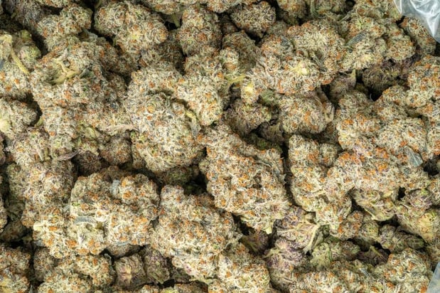 Images Hemp Supply Prime