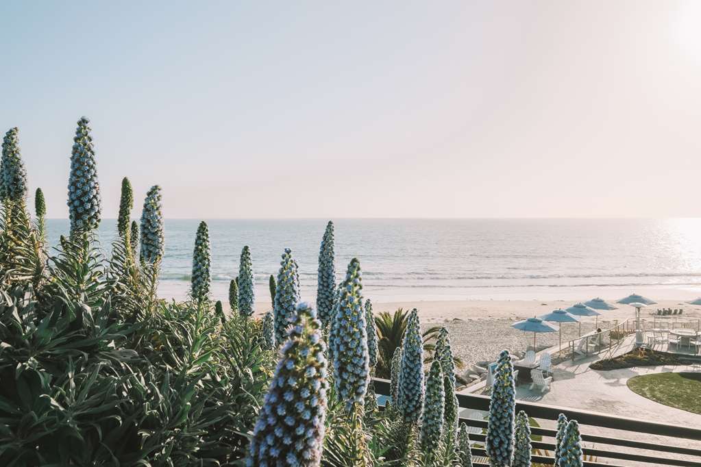 Waldorf Astoria Monarch Beach
