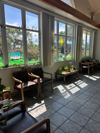 Images VCA Ponti Animal Hospital