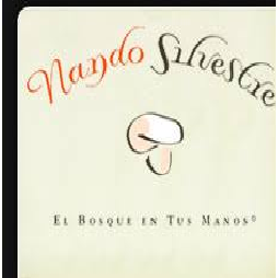Nando Silvestre S.L. Logo
