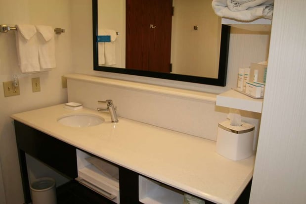 Images Hampton Inn Birch Run/Frankenmuth