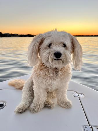 Images Craig Martin - State Farm Insurance Agent