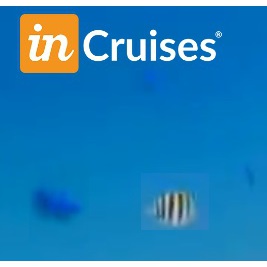 Cruceros Incruises Arelis Güímar