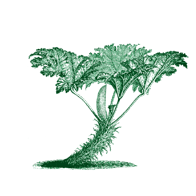 Flükiger Gartenbau Logo