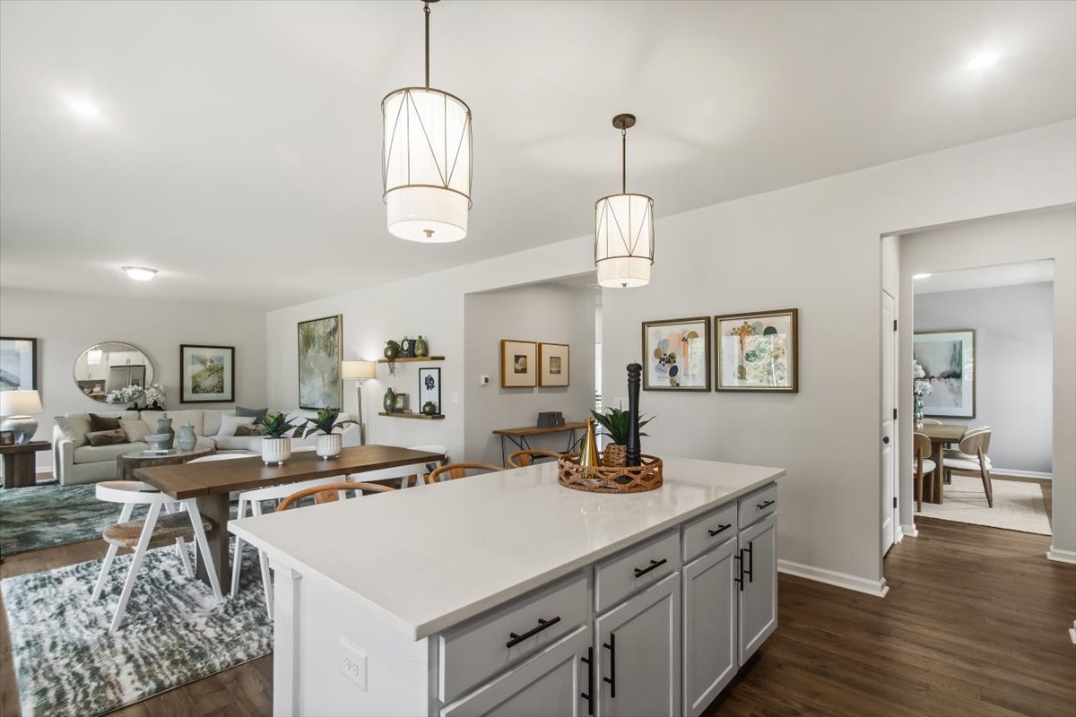 Bridgeport Single Family Homes by Stanley Martin Homes Image