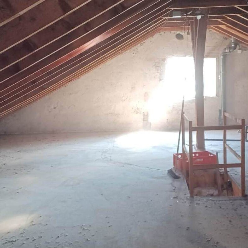 Bilder HDS Hausmeisterservice Entrümpelung Baumfällung Entkernung Demontage Altmetall-Entsorgung