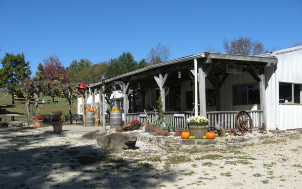 Bias Winery and Microbrewery