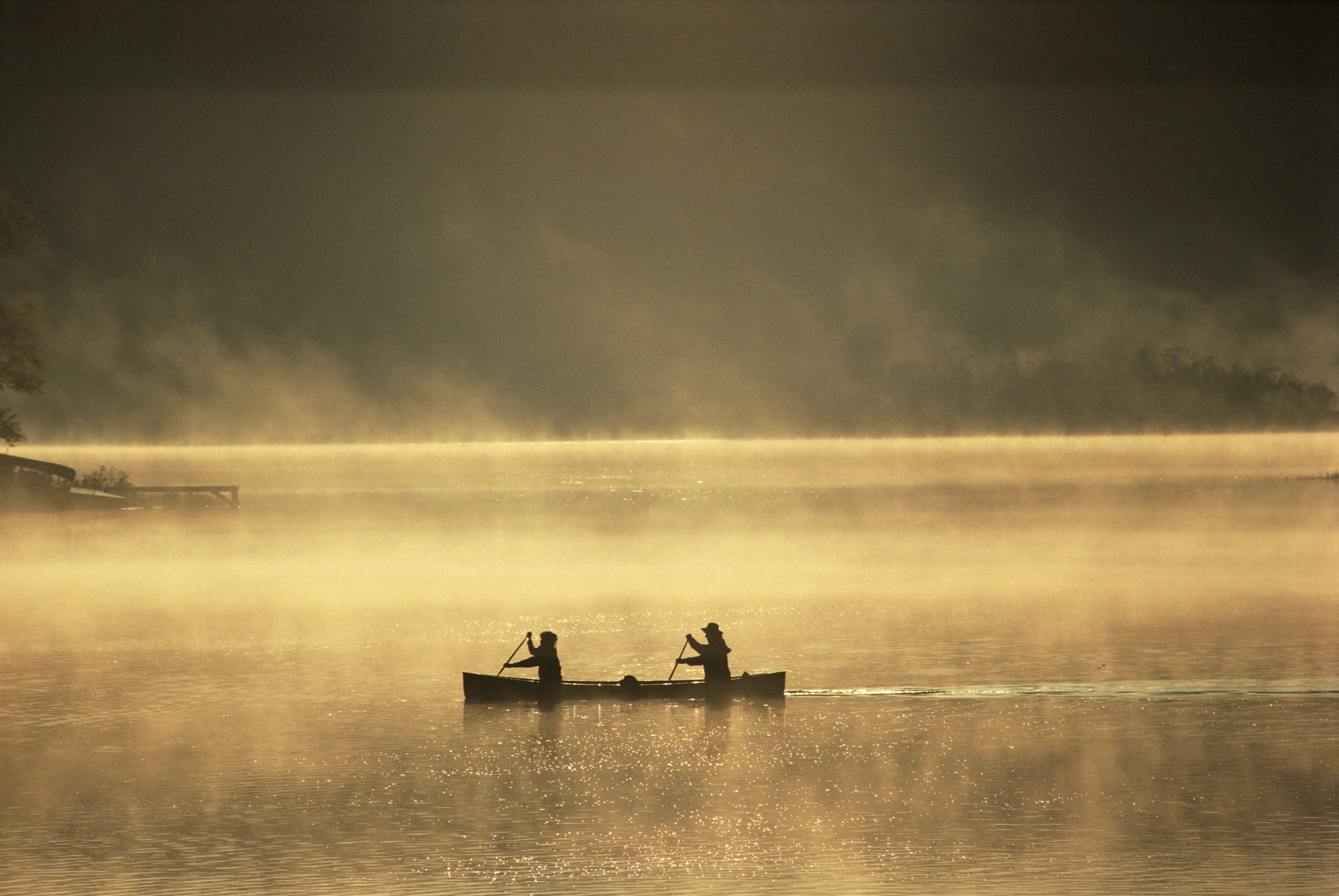 main blog image