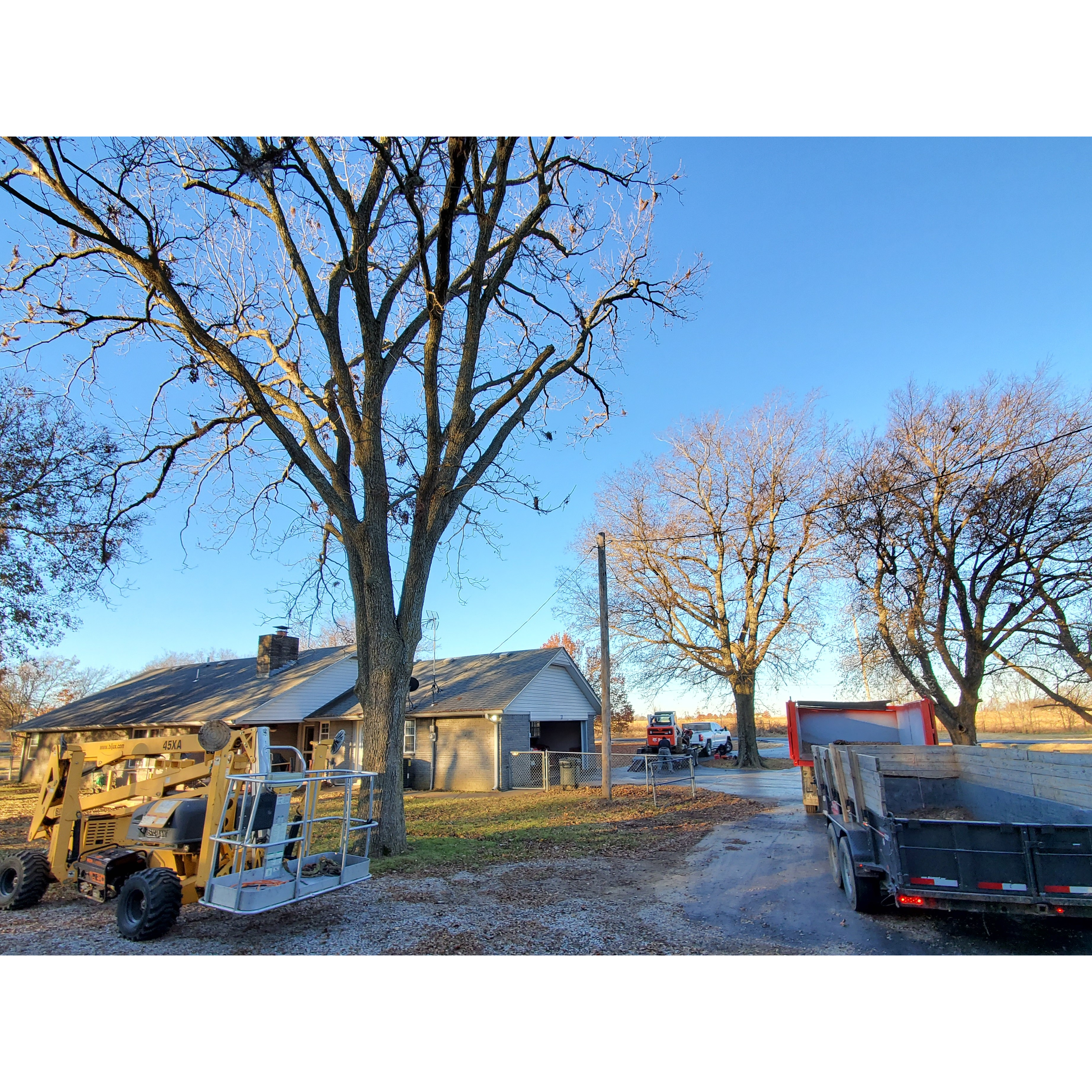 Callahan Tree Care