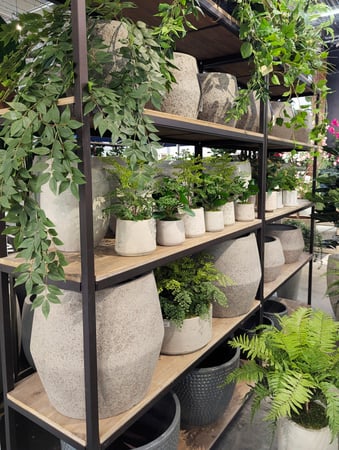 Images Aldik Home