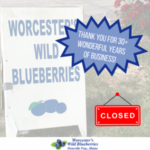 Worcester's Wild Blueberries Logo