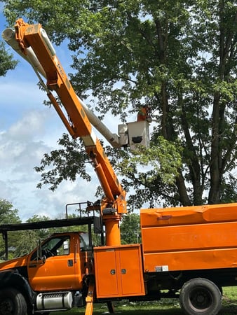 Images Area Tree Service LLC