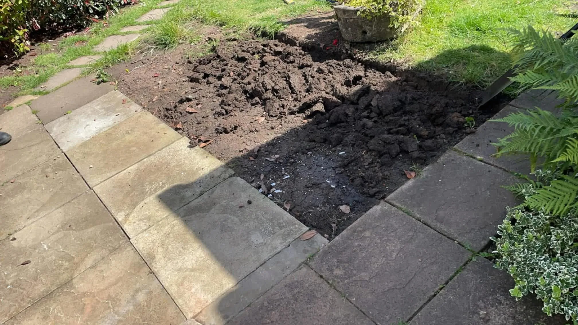 Images Oakwood Tree & Landscaping Services