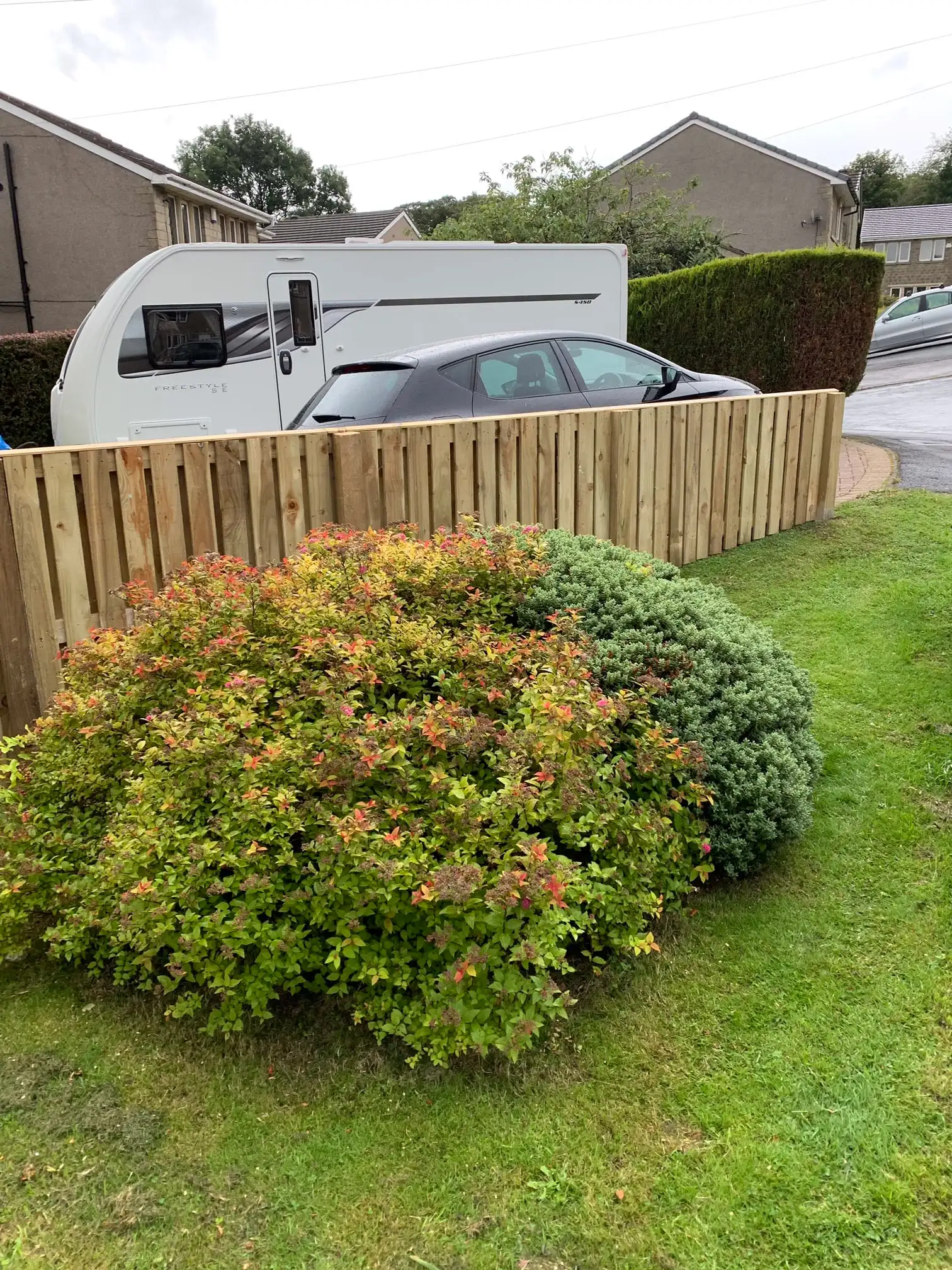 Images D & E Landscapes