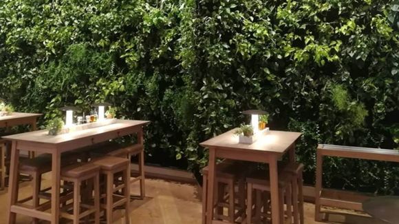 Images Green Fortune