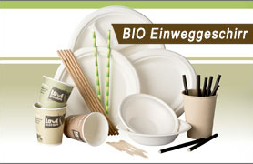 VERPACKUNGSTEAM-GmbH, Am Radweg 1 in St. Veit